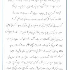 UN-Speech_Page_06