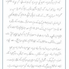UN-Speech_Page_07