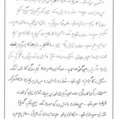 UN-Speech_Page_09